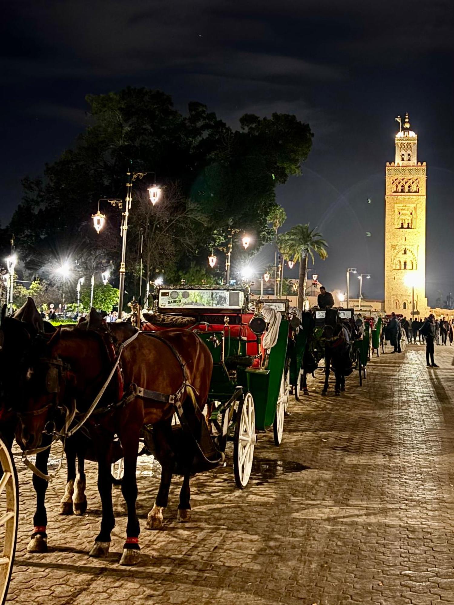 Riad La Cigale Марракеш Екстер'єр фото